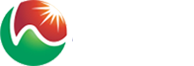 브레인TV Logo