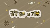 금쪽같은 내 기보